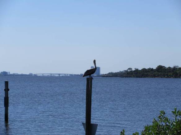 Intercostal-from-OrmondBeach