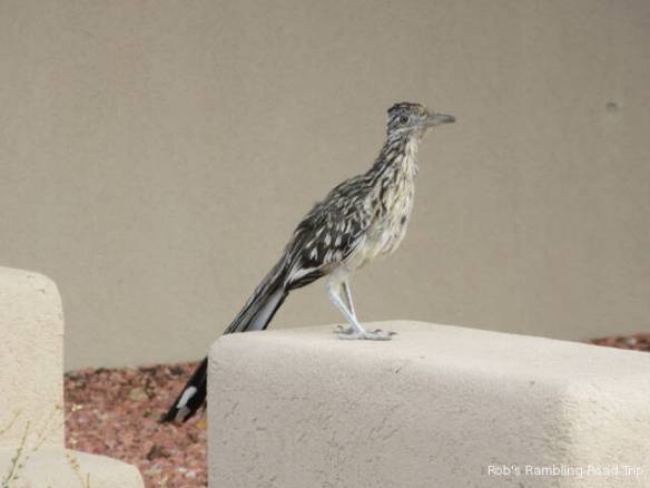 r3t2017-09-06_20-023