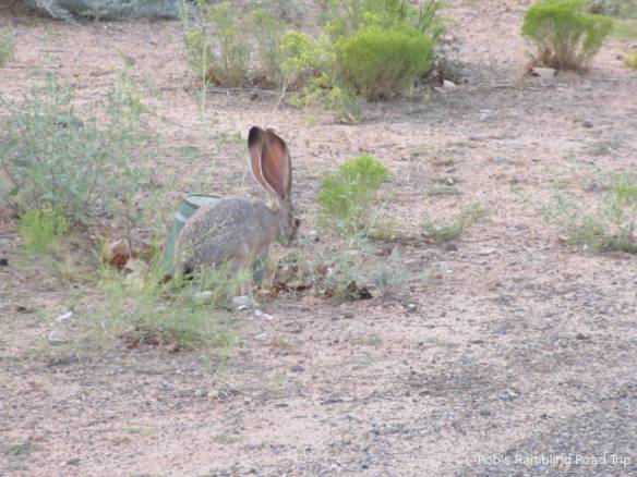 r3t2017-09-10_19-454