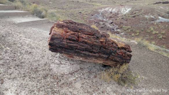 r3t2017-09-14_19-142