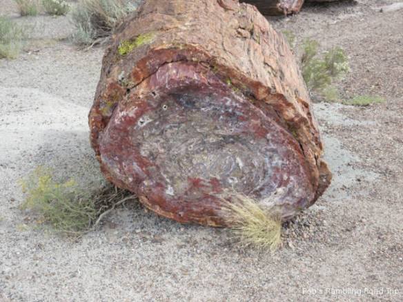 r3t2017-09-15_19-427