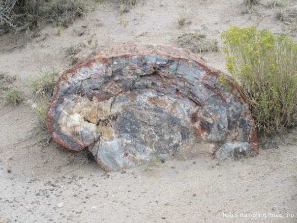 r3t2017-09-15_19-429