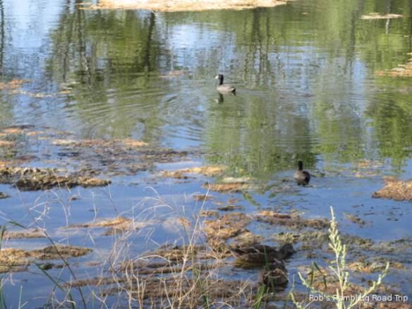 r3t2017-09-21_21-145