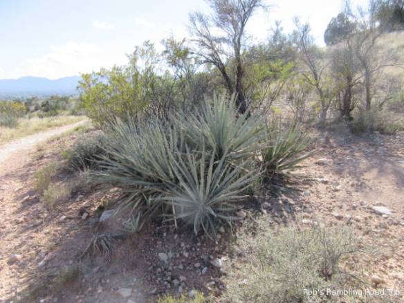 r3t2017-09-22_21-401