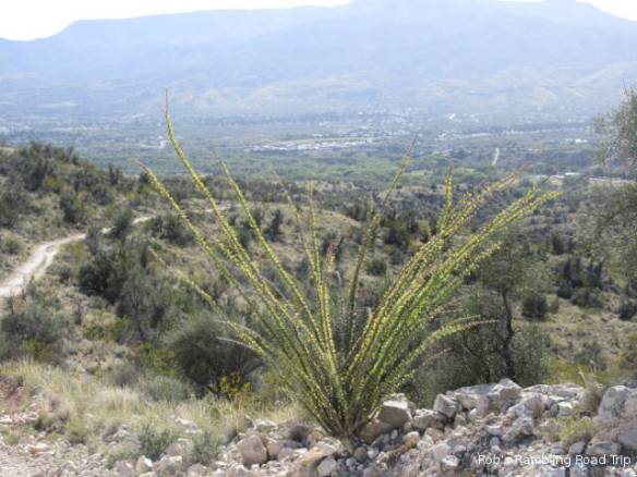 r3t2017-09-22_21-403