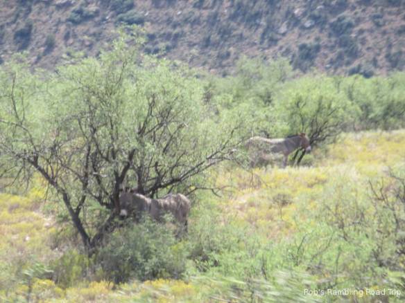 r3t2017-09-29_23-284