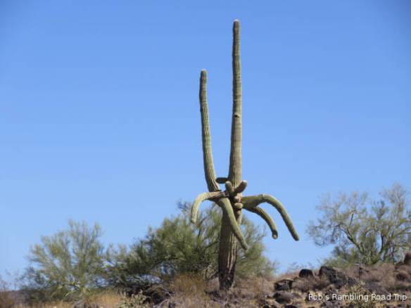 r3t2017-10-02_20-591