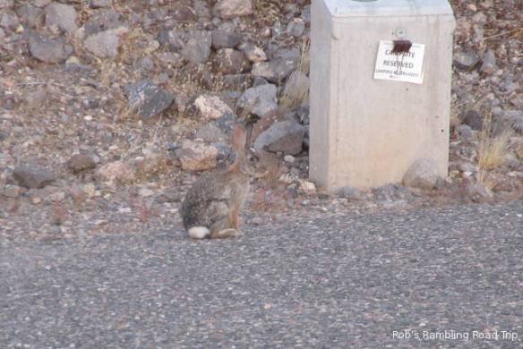 r3t2017-10-03_18-391