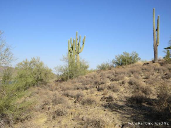 r3t2017-10-06_20-422