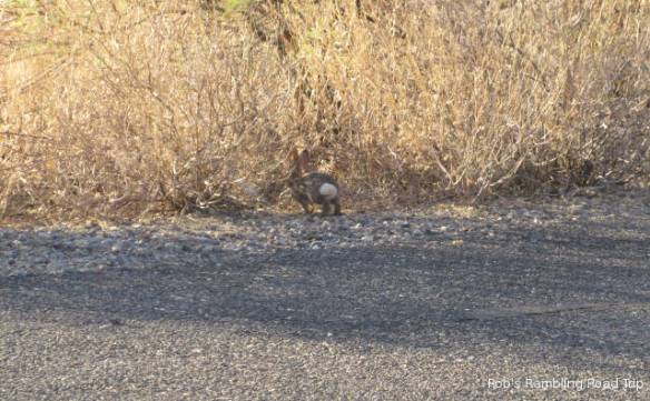 r3t2017-10-08_18-151