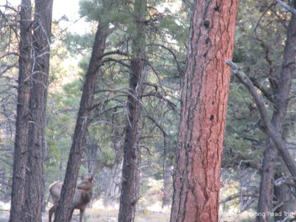 r3t2017-10-14_19-143