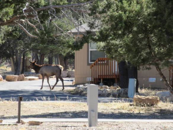 r3t2017-10-15_17-021