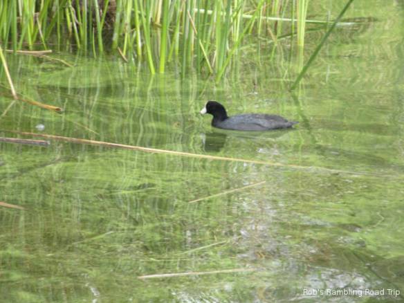 r3t2017-10-18_19-062