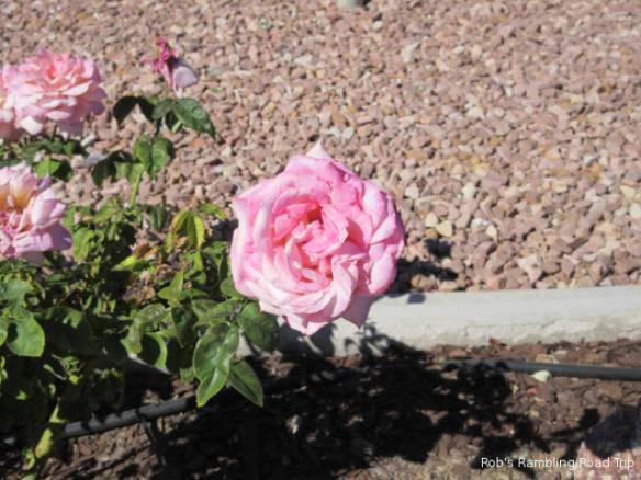 r3t2017-10-22_18-321