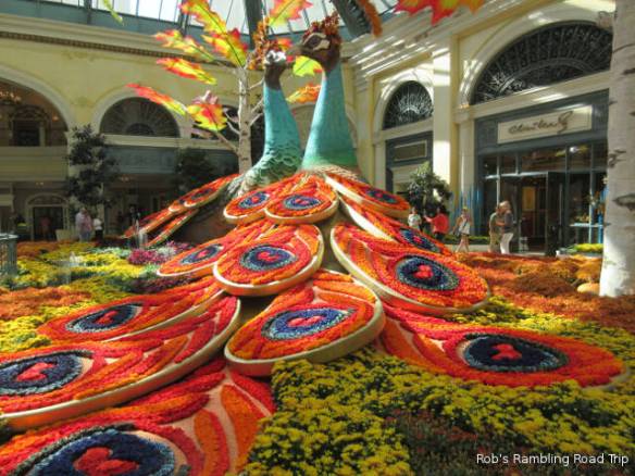 r3t2017-10-25_18-402