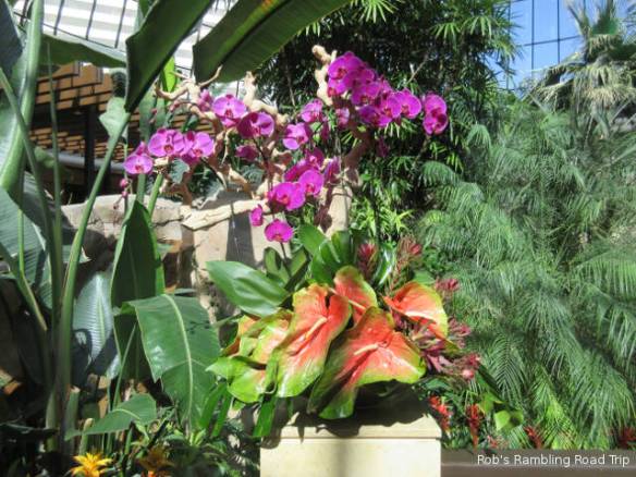 r3t2017-10-25_18-407