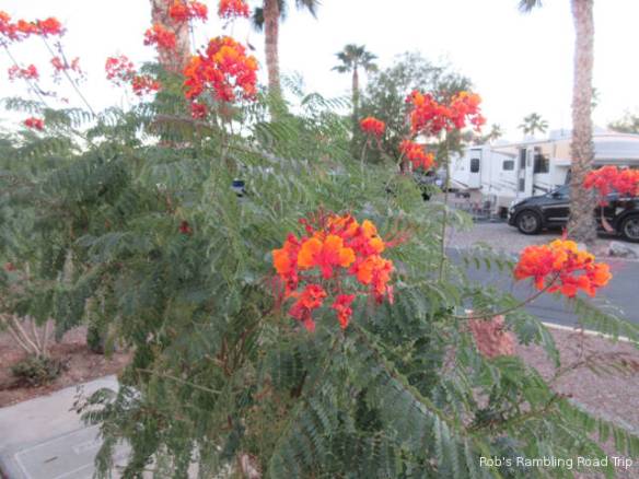 r3t2017-10-29_19-331