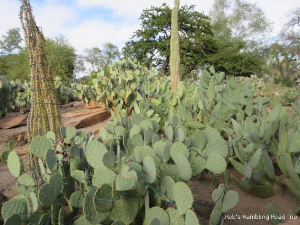 r3t2017-10-30_19-001