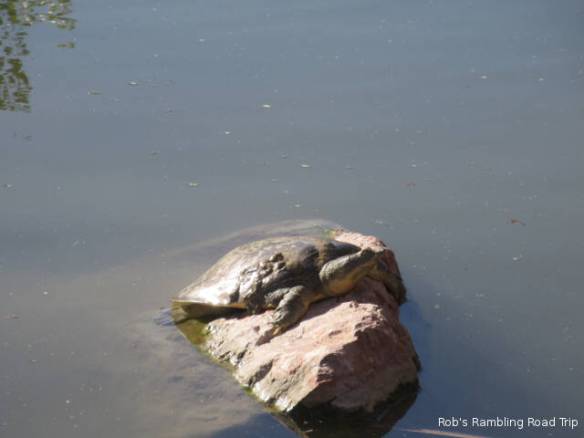 r3t2017-11-07_18-121