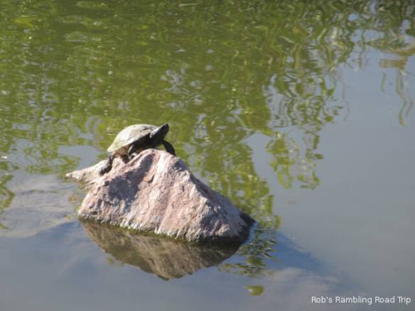 r3t2017-11-07_18-122