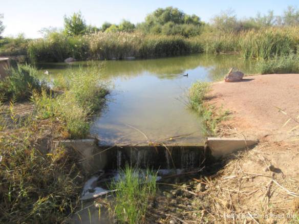 r3t2017-11-08_20-421