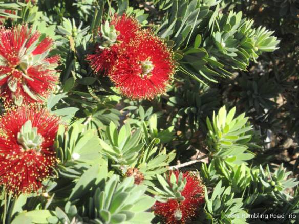 r3t2017-11-09_21-291