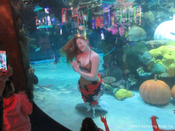 r3t2017-11-17_21-331