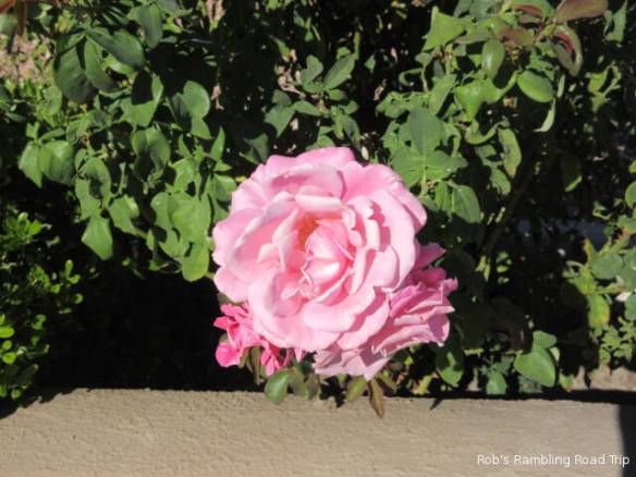 r3t2017-11-19_21-281