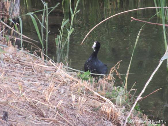 r3t2017-11-21_19-552