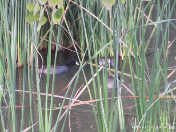 r3t2017-11-22_21-201