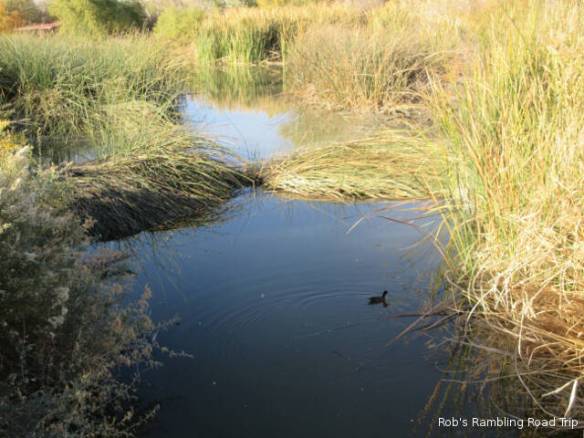 r3t2017-11-28_22-111