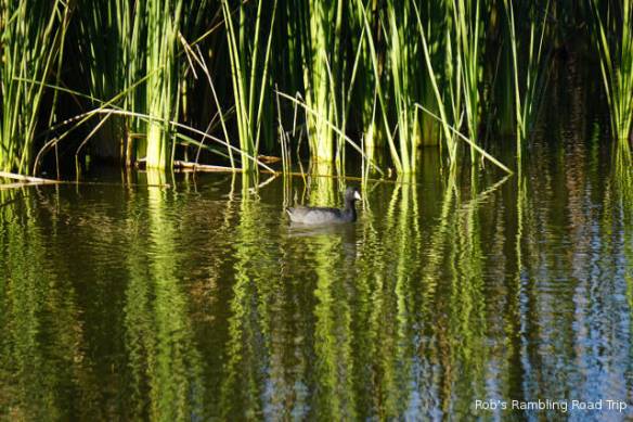 r3t2017-12-06_18-593