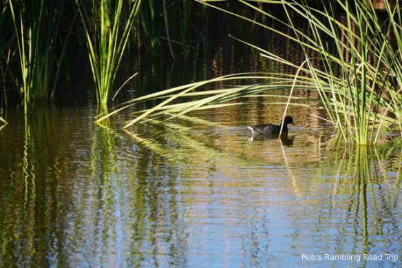 r3t2017-12-06_18-594