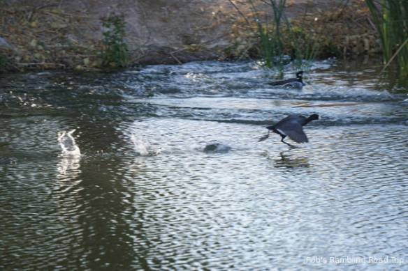 r3t2017-12-06_18-595