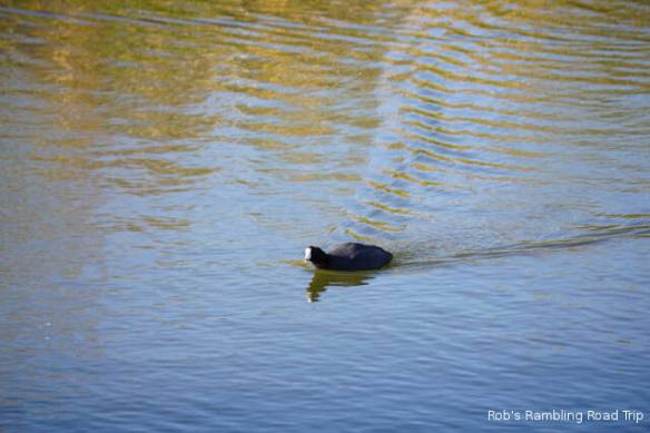 r3t2017-12-06_18-596