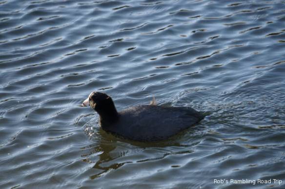 r3t2017-12-06_18-597