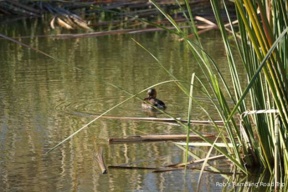 r3t2017-12-07_18-471