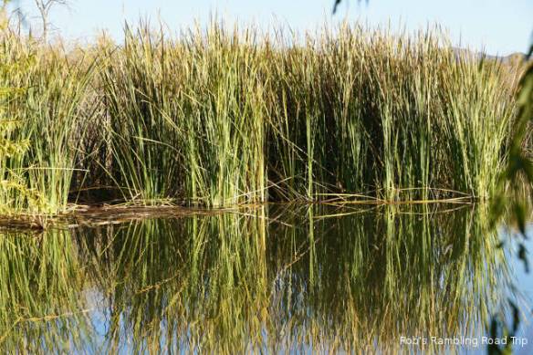 r3t2017-12-07_18-4712