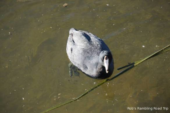 r3t2017-12-07_18-472