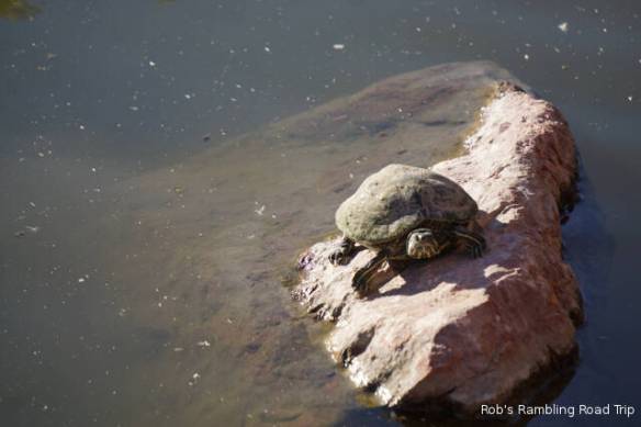 r3t2017-12-07_18-473