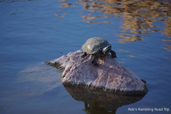 r3t2017-12-07_18-474