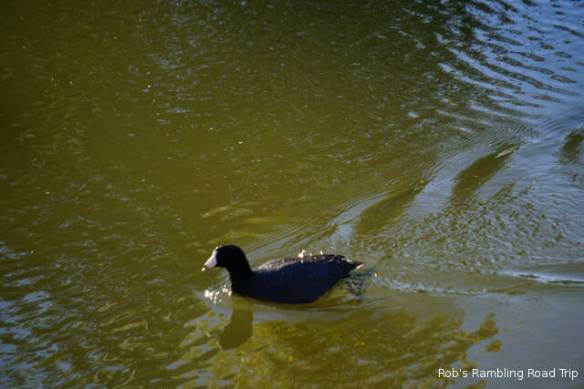 r3t2017-12-07_18-475