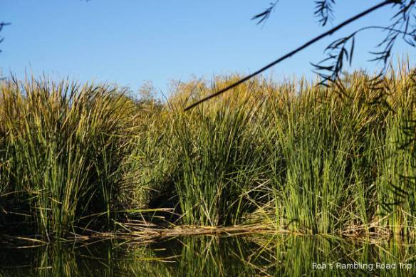 r3t2017-12-07_18-476