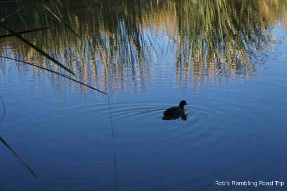 r3t2017-12-07_18-477