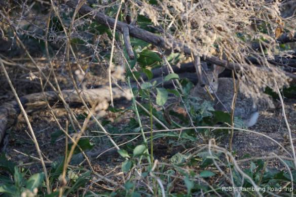 r3t2017-12-07_18-478