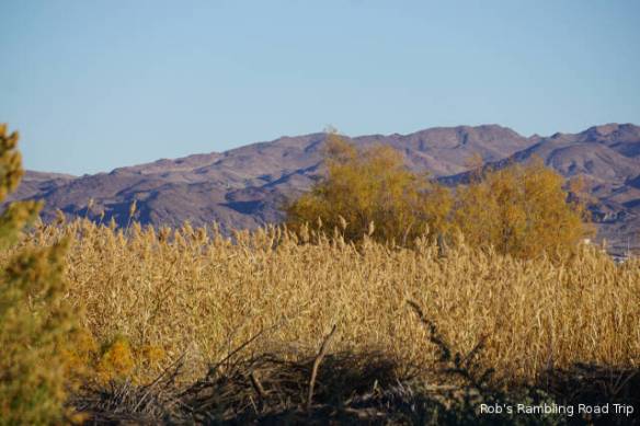 r3t2017-12-07_18-479