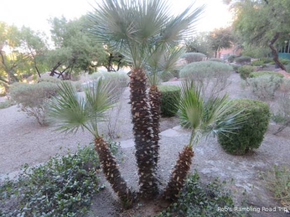 r3t2017-12-08_19-311