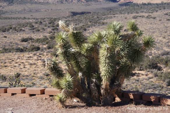 r3t2017-12-09_18-013