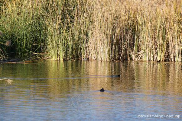 r3t2017-12-14_22-083