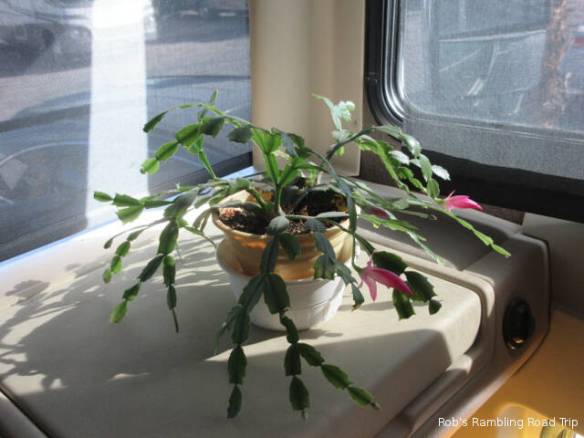 r3t2017-12-19_18-501